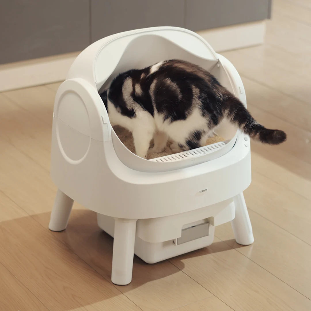 Autoscooper 11 Smart Cat Litter Box