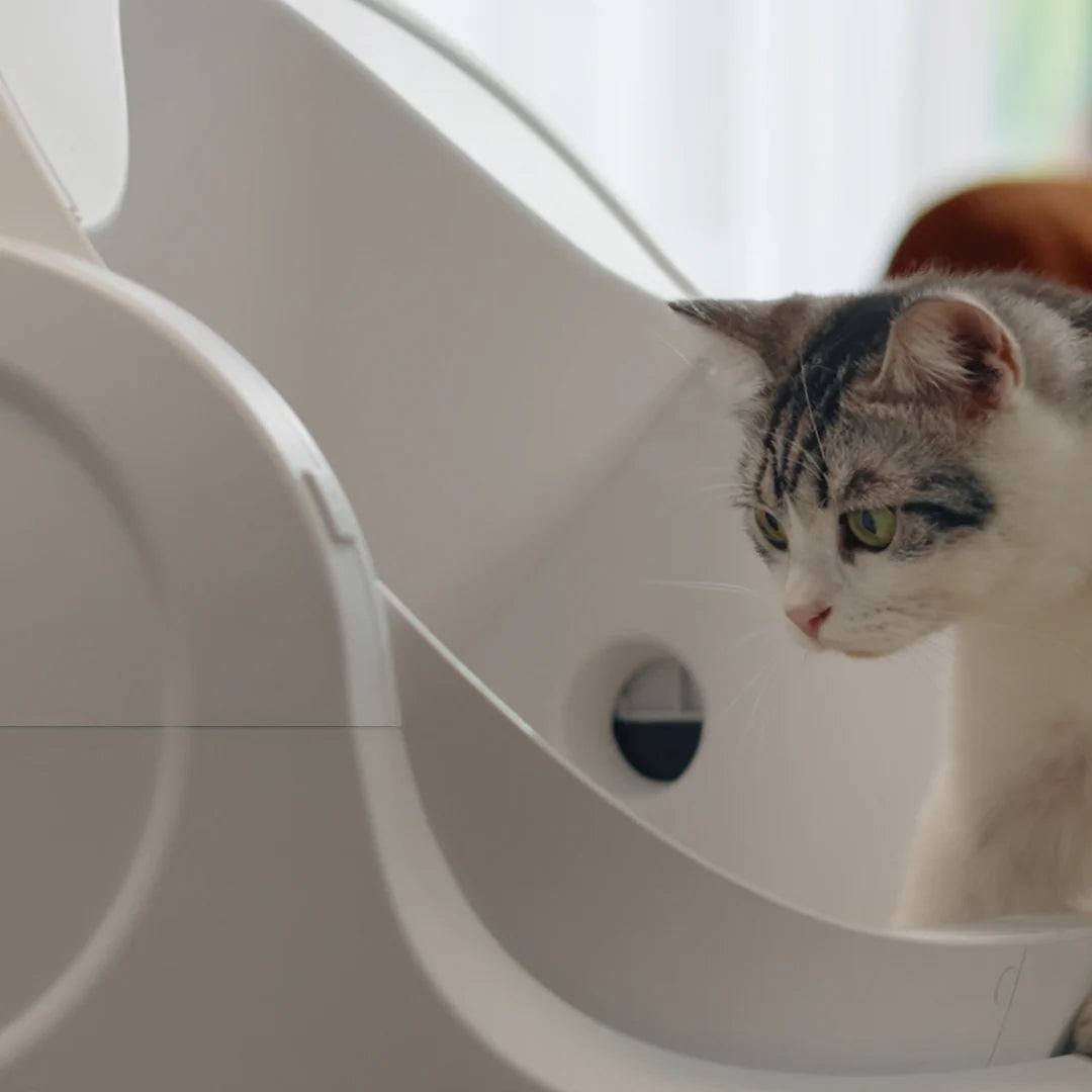 Autoscooper 11 Smart Cat Litter Box
